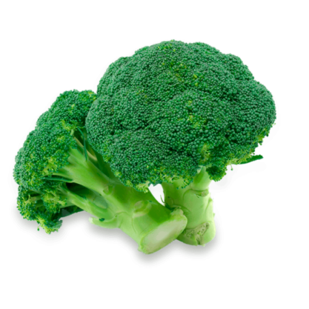 Fresh Broccoli