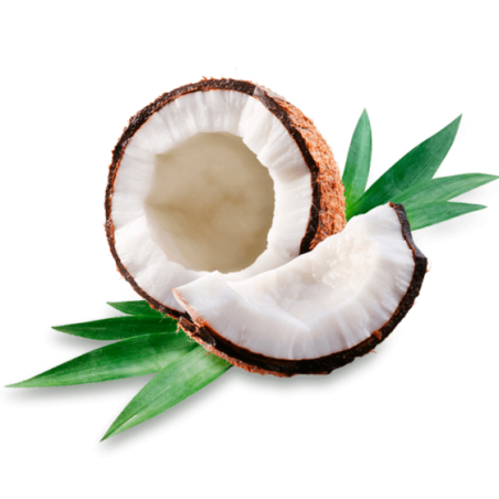 Coconut